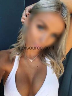 מבריק ומעשי, מחפש חבר מבריק ומעשי, מחפש חבר